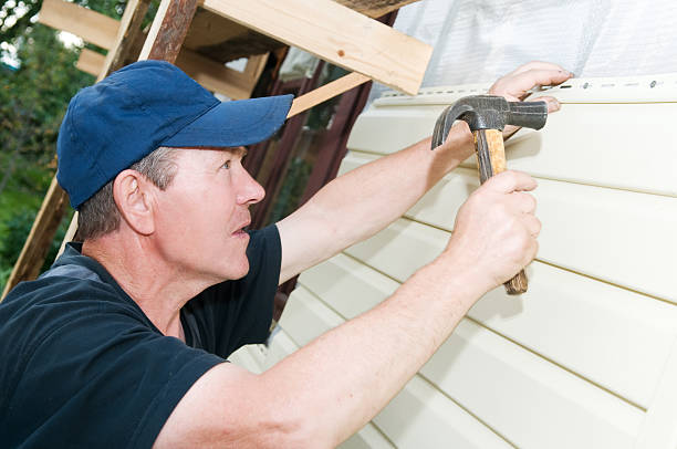 Best Siding Painting and Refinishing  in Black River Falls, WI