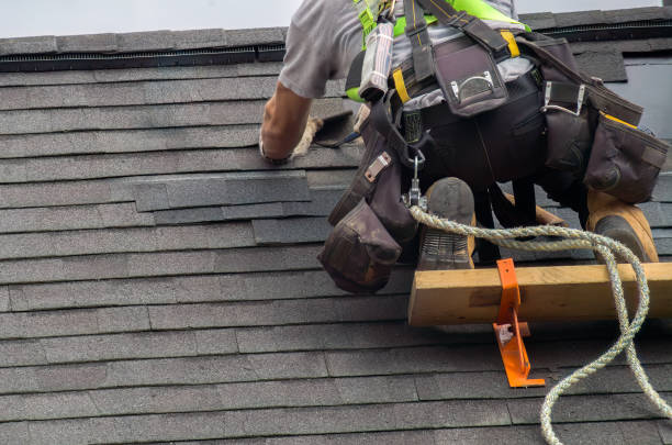 Storm Damage Siding Repair in Black River Falls, WI